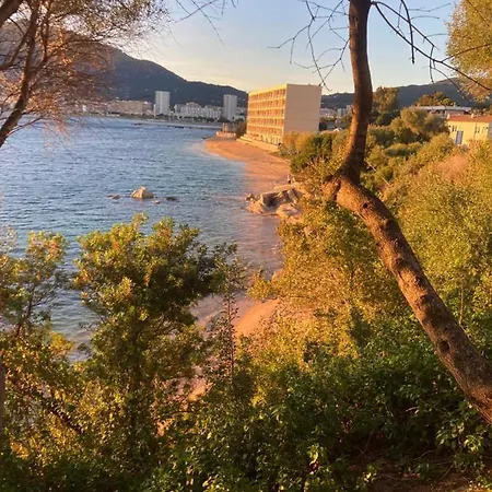 T2 Standing Ajaccio (Corsica)